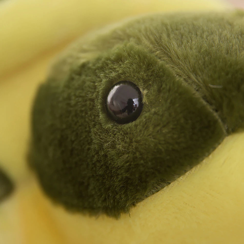 Green Turtle Plush Toy