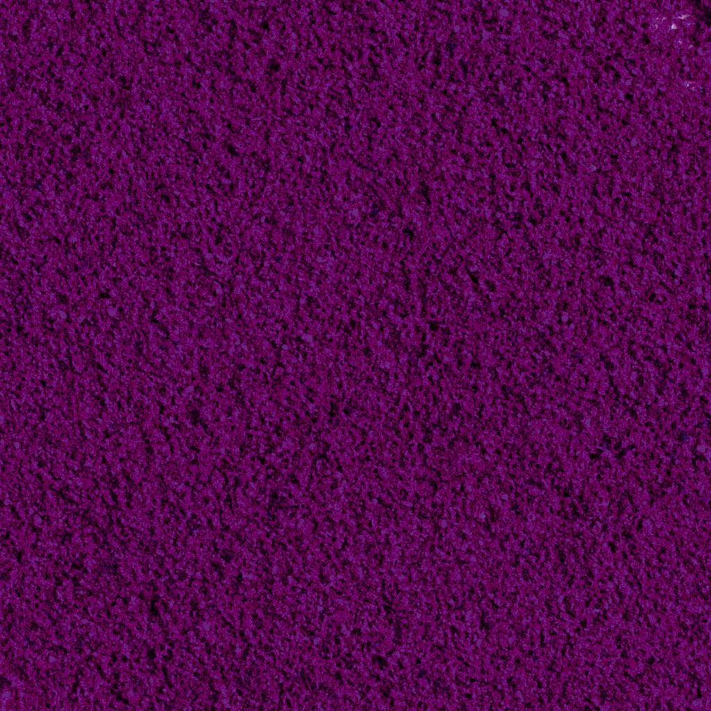POLVERE di 100% Ribes Nero liofilizzato BIO - 100g