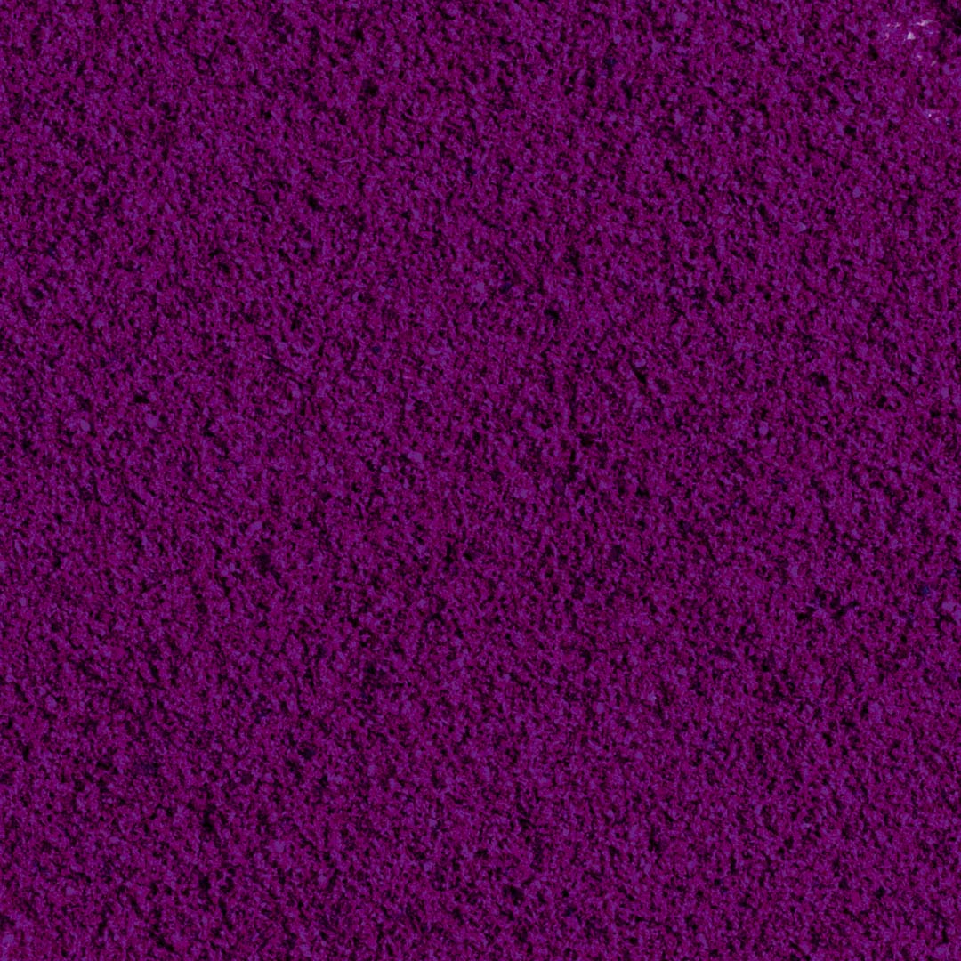 POLVERE di 100% Ribes Nero liofilizzato BIO - 100g
