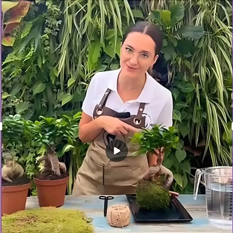 Kit Kokedama Fai da te Philodendro White Wave  Tutto incluso