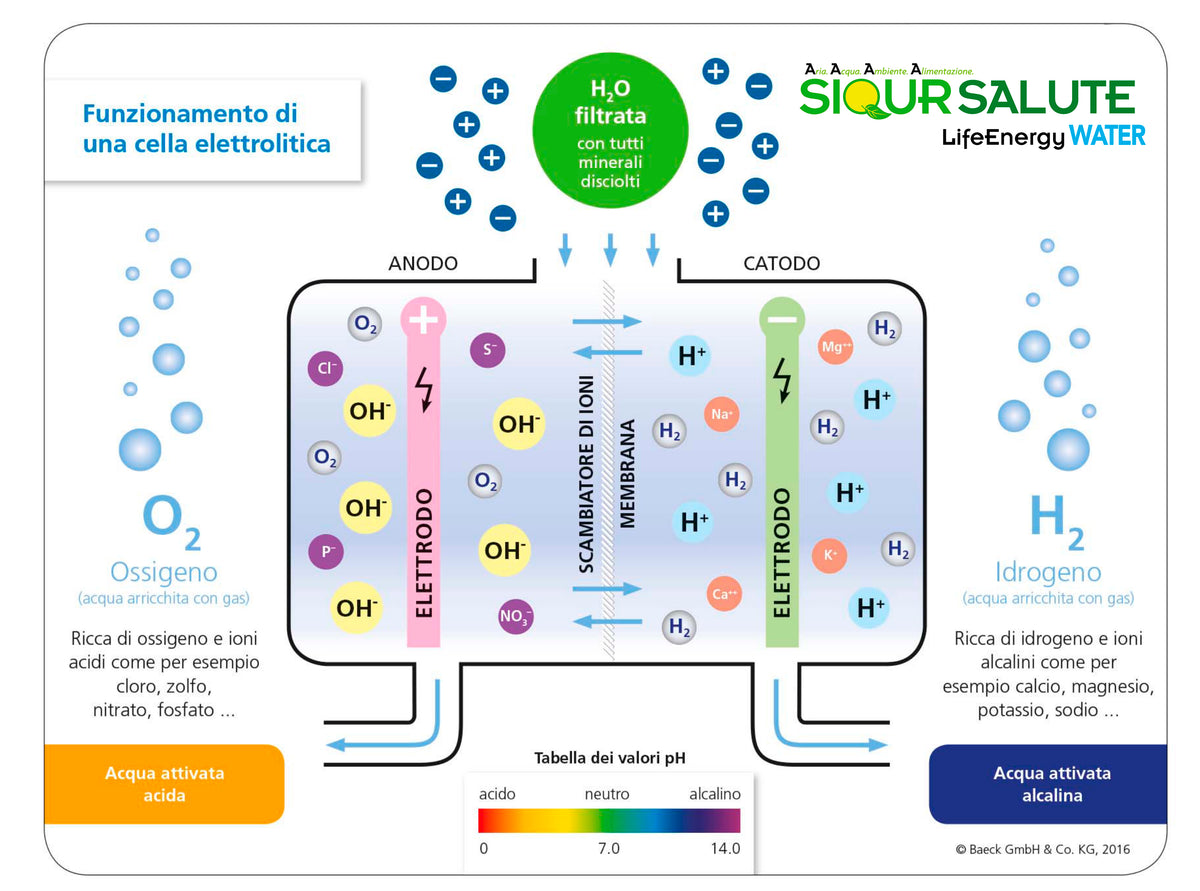 Purificatore e Ionizzatore d'Acqua LifeEnergy WATER