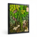 Quadro in Muschio e Licheni Stabilizzati 35x50 cm – EcoMosaico | Made in Italy